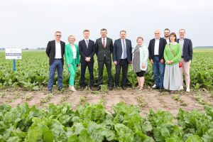 Członkowie Rady Nadzorczej KGS, gospodarze stojący na tle pola buraka cukrowego.