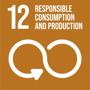 Responsible consumption and production Graphics