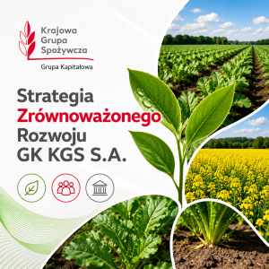 Strategia GK KGS S.A. - grafika