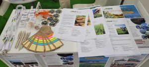 SIPSA 2026 fot.4