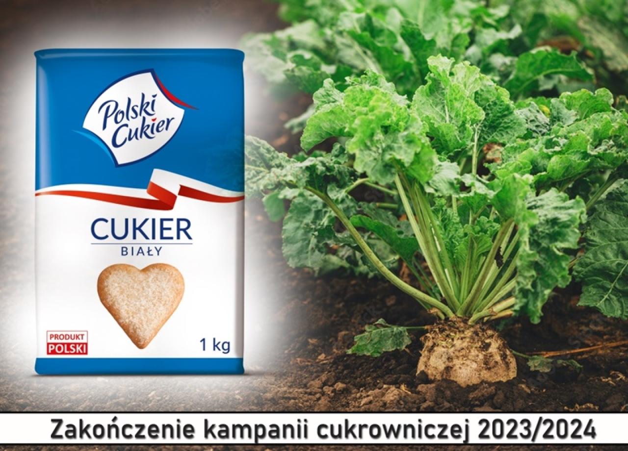 Podsumowanie kampanii cukrowniczej 2023/2024 w Krajowej Grupie Spożywczej S.A.