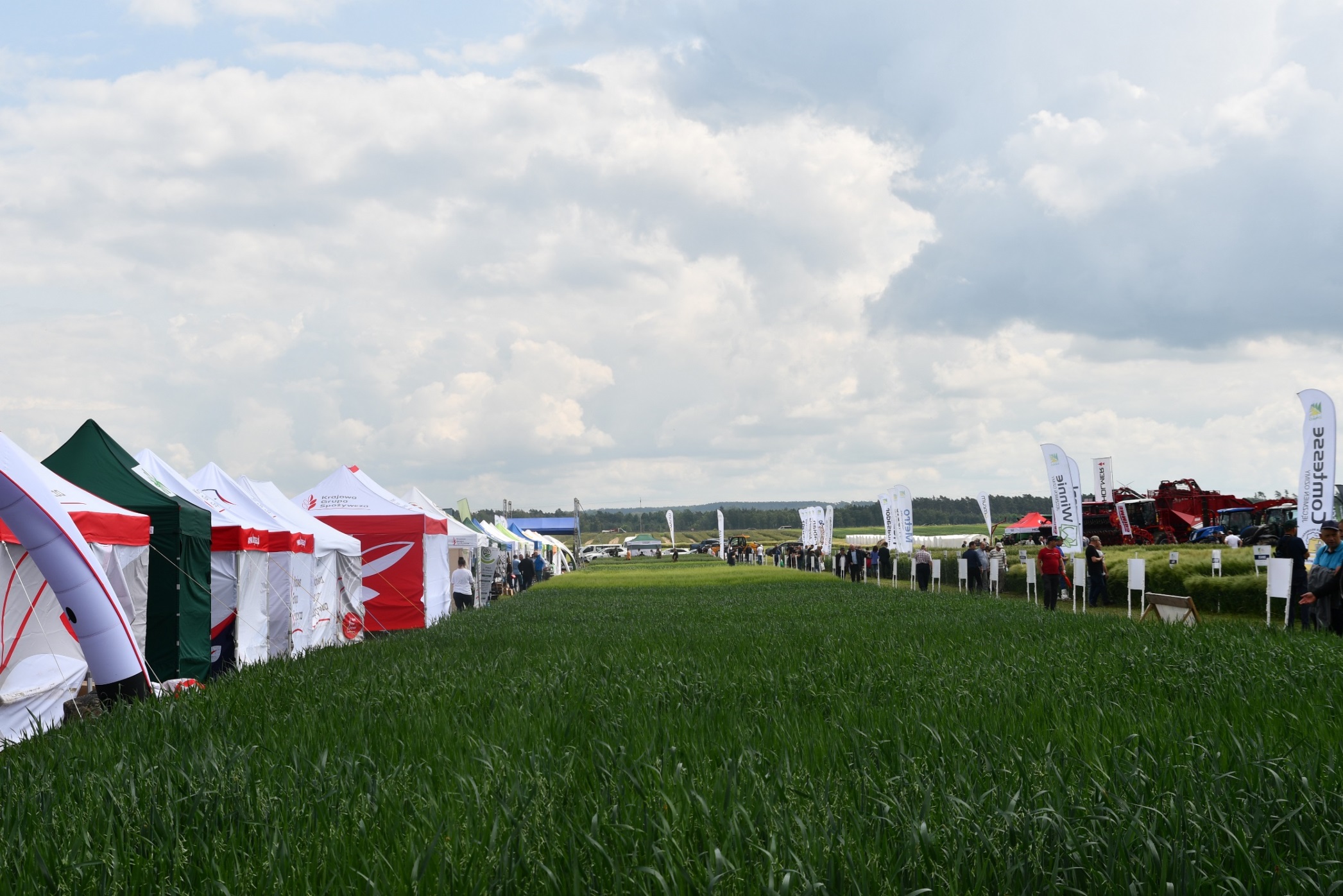 Dzień Pola w Sobiejuchach