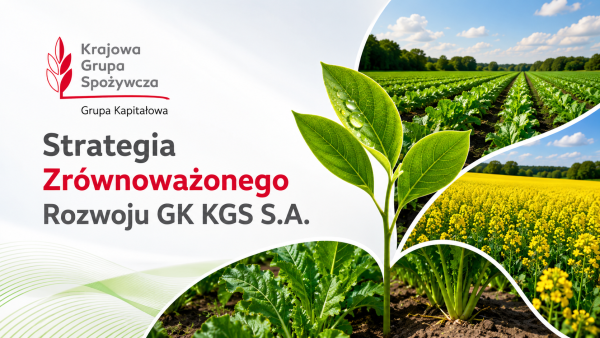 Strategia Zrównoważonego Rozwoju GK KGS S.A.  